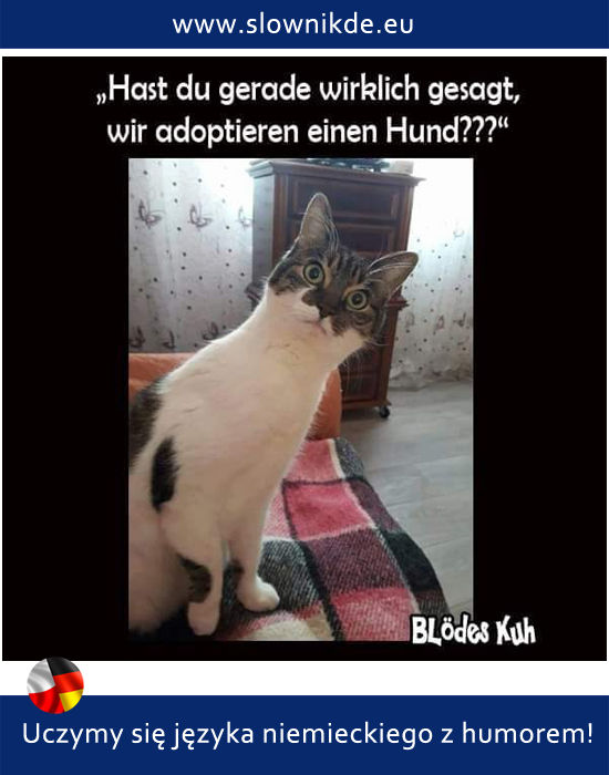 adoptieren