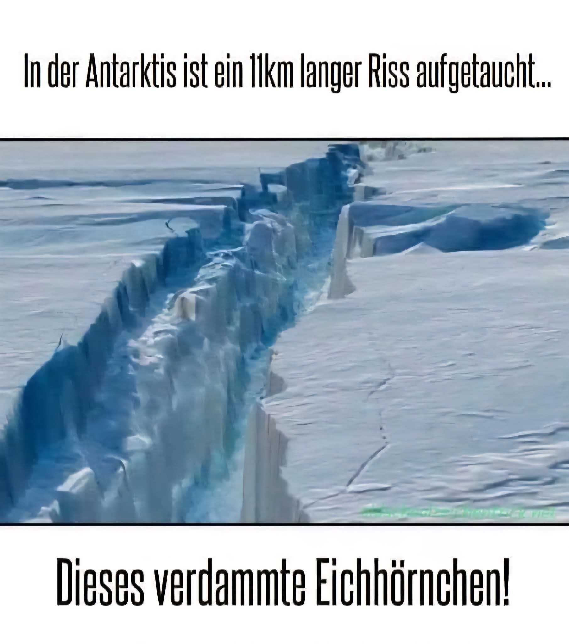 die Antarktis - Arktyka