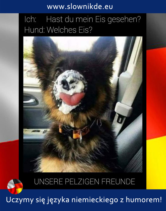 eis