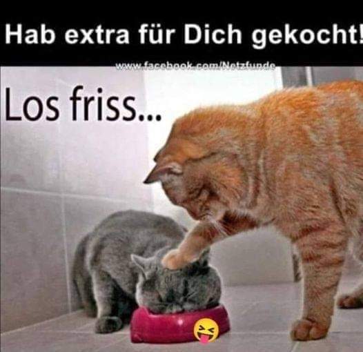 extra extra - osobliwy, specjalnie, oddzielnie