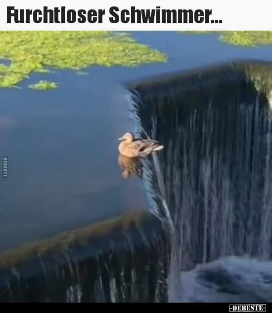 furchtlos - nieustraszony, bez lęku, bez trwogi