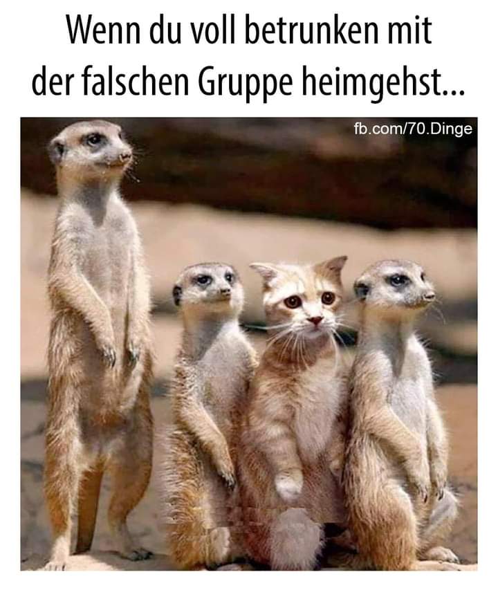 heimgehen heimgehen - iść do domu, odchodzić