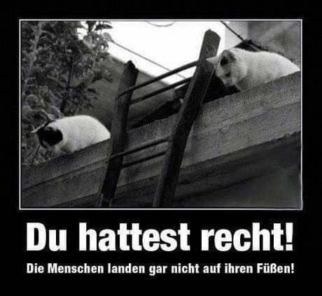 landen landen - lądować, przybijać do brzegu