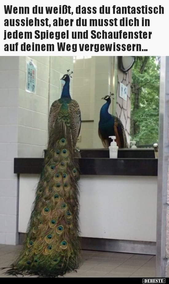 vergewissern vergewissern - upewniać się