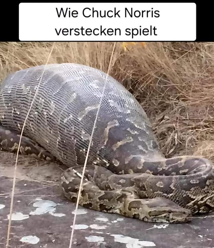 Żarty z Chuckiem Norrisem