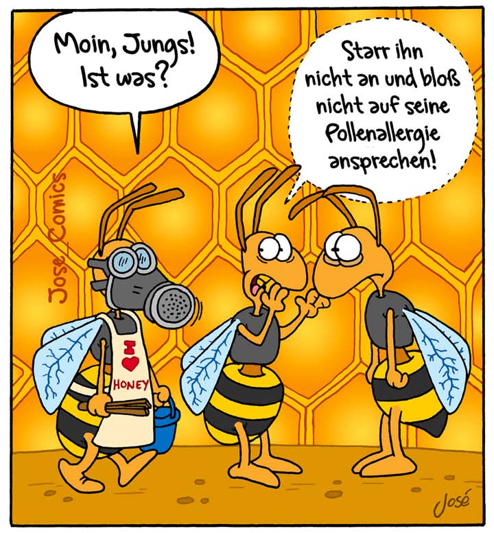 der Pollen - pyłek