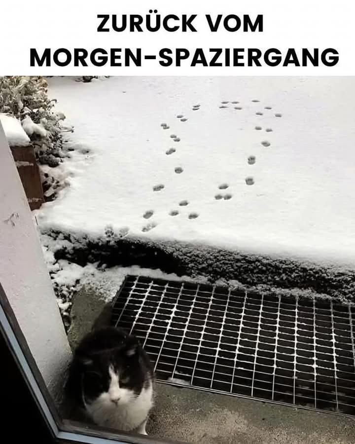 Spaziergang