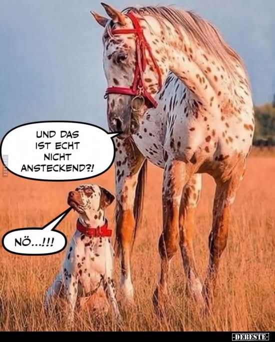 ansteckend - zakaźny, zakaźnie