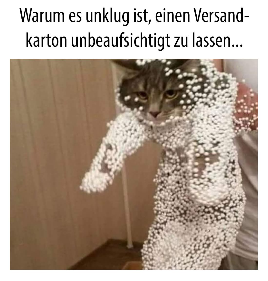 unklug - niemądry, nieroztropny, niemądrze, nieroztropnie