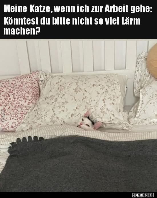 der Lärm - hałas, zgiełk, wrzaski