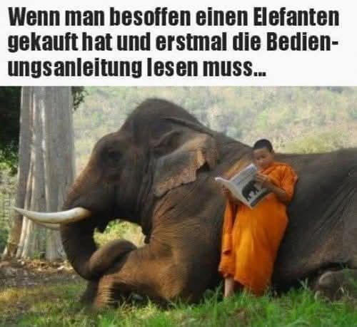 die Anleitung - instrukcja, wskazówka, pouczenie