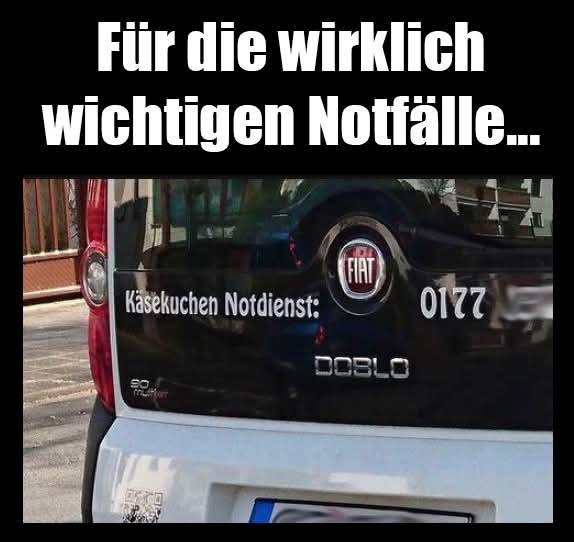 der Käsekuchen - sernik