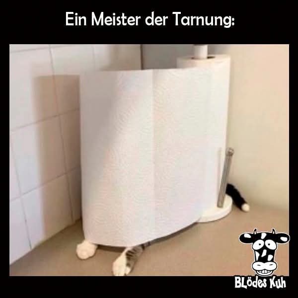 die Tarnung - maskowanie, kamuflaż