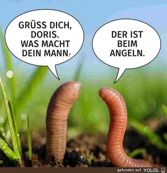 angeln