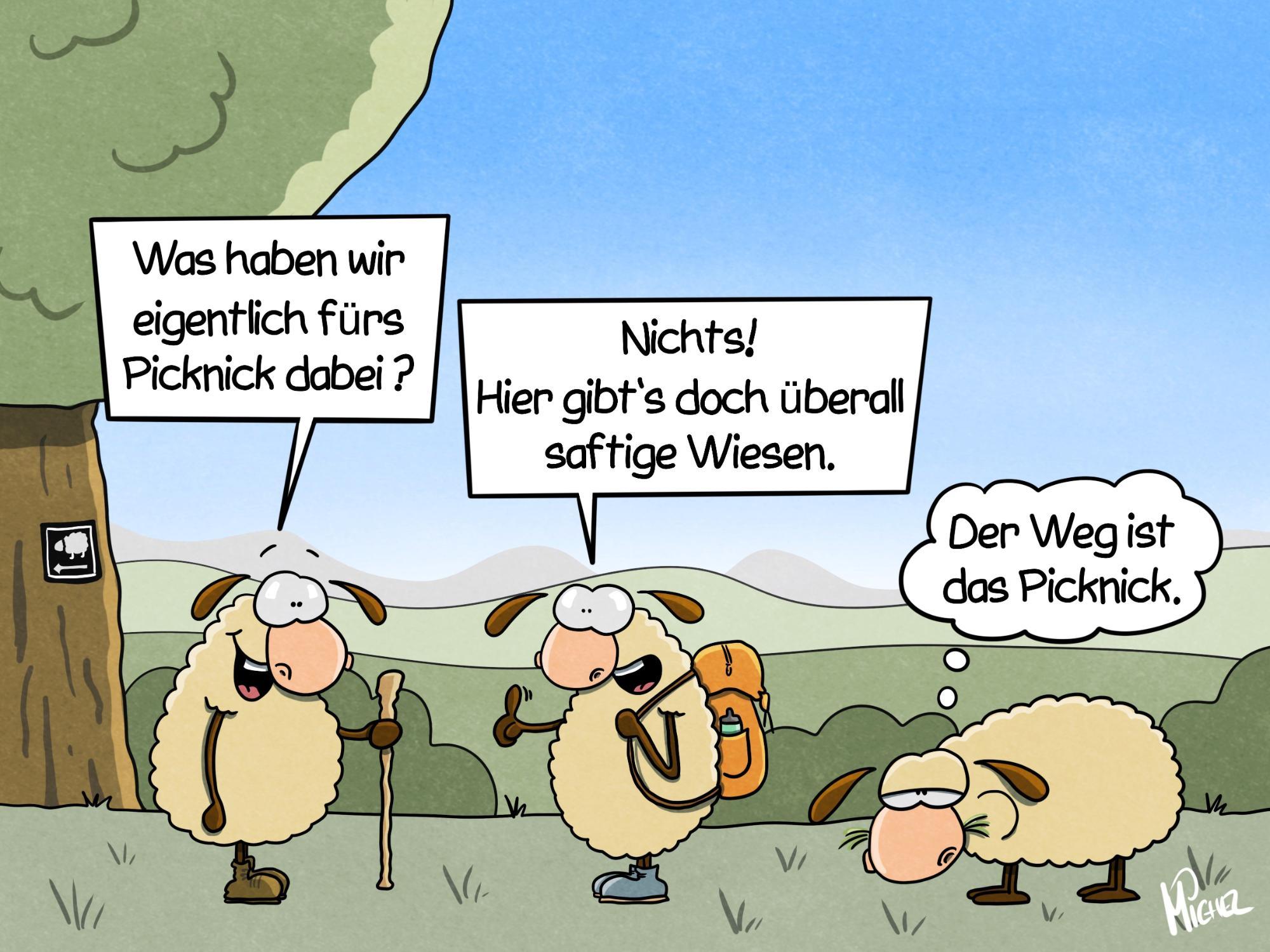 das Picknick - piknik