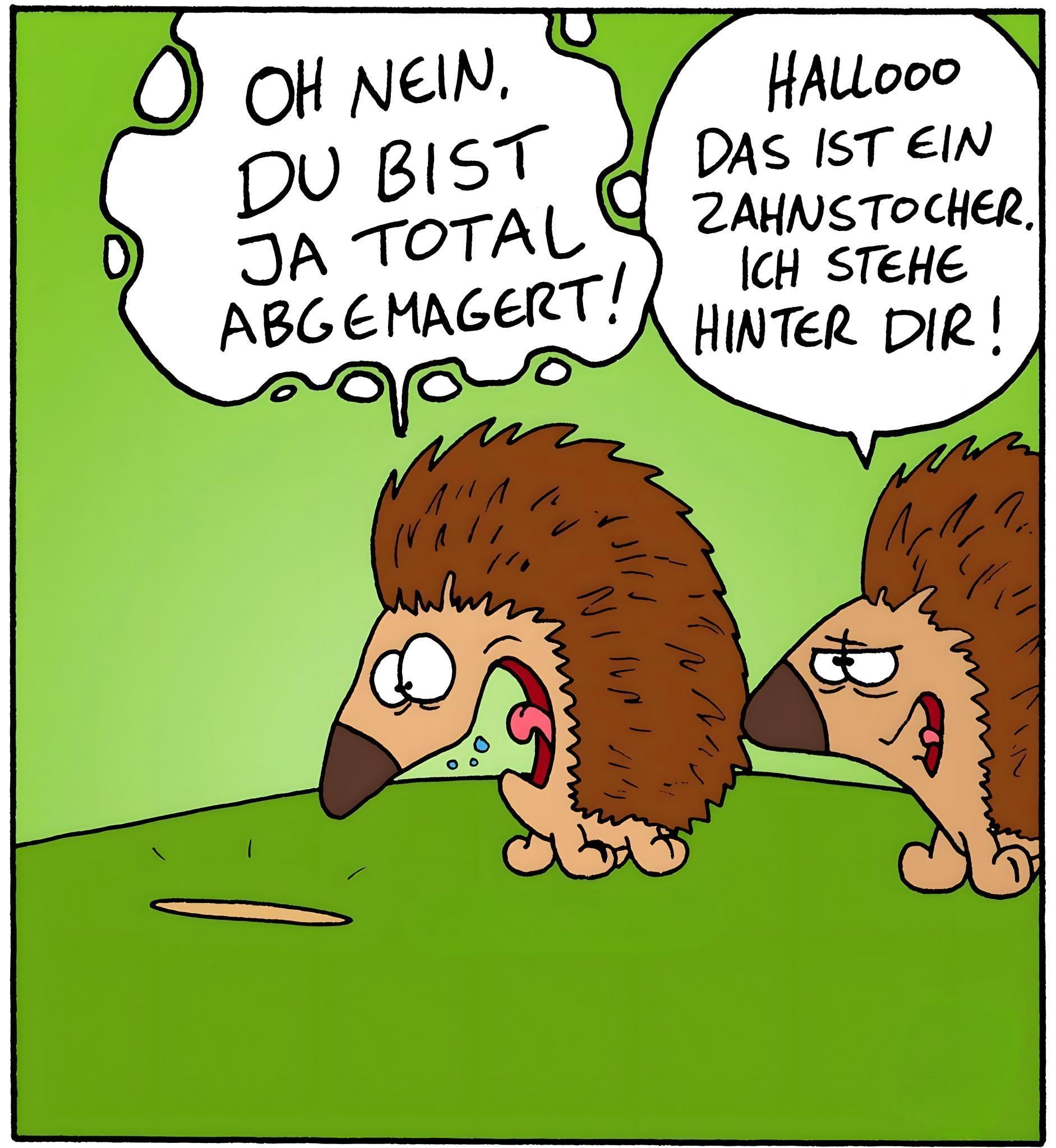 abmagern - chudnąć