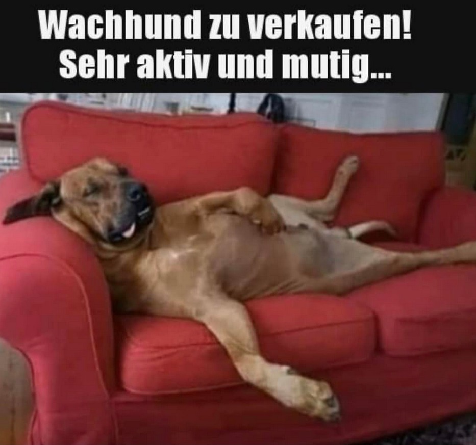 aktiv - aktywny, aktywnie