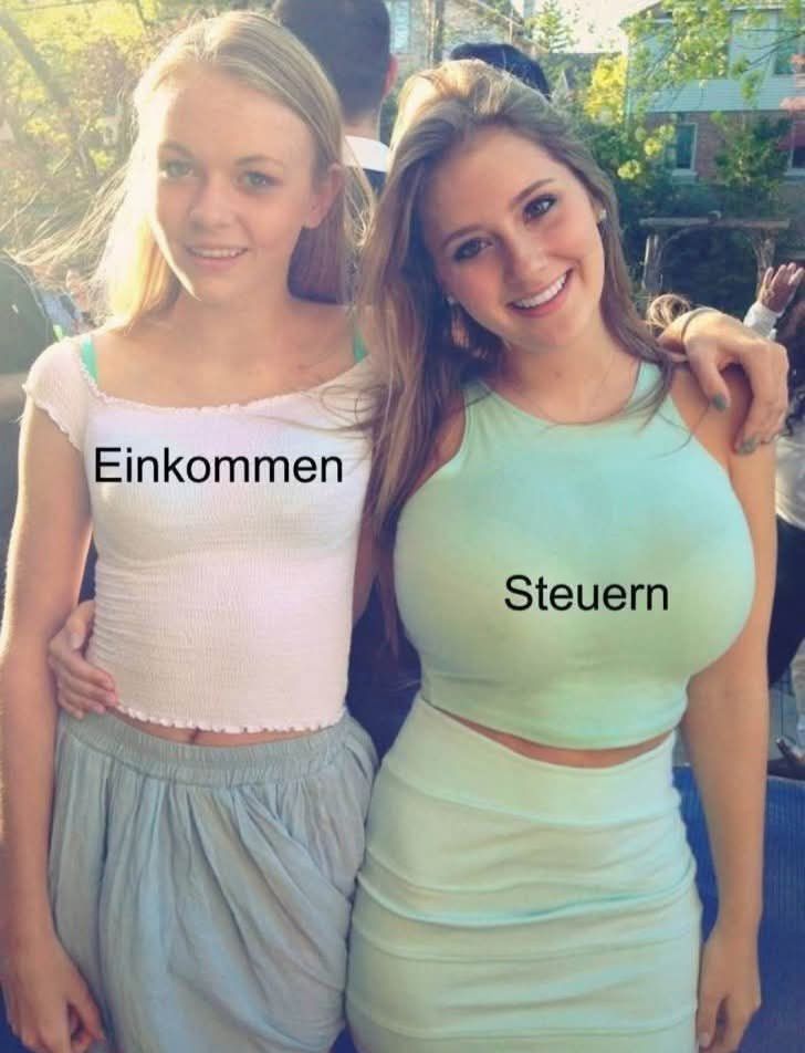 das Einkommen - dochód