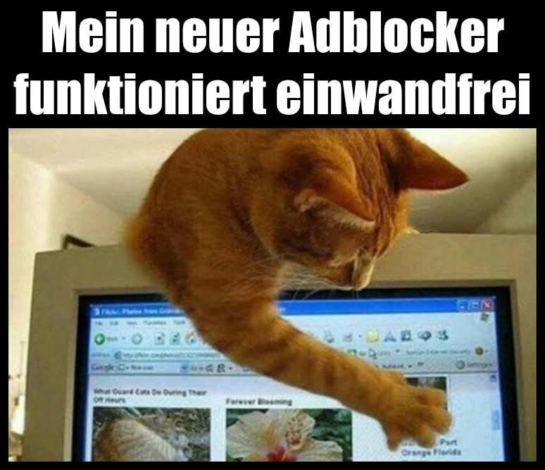 einwandfrei