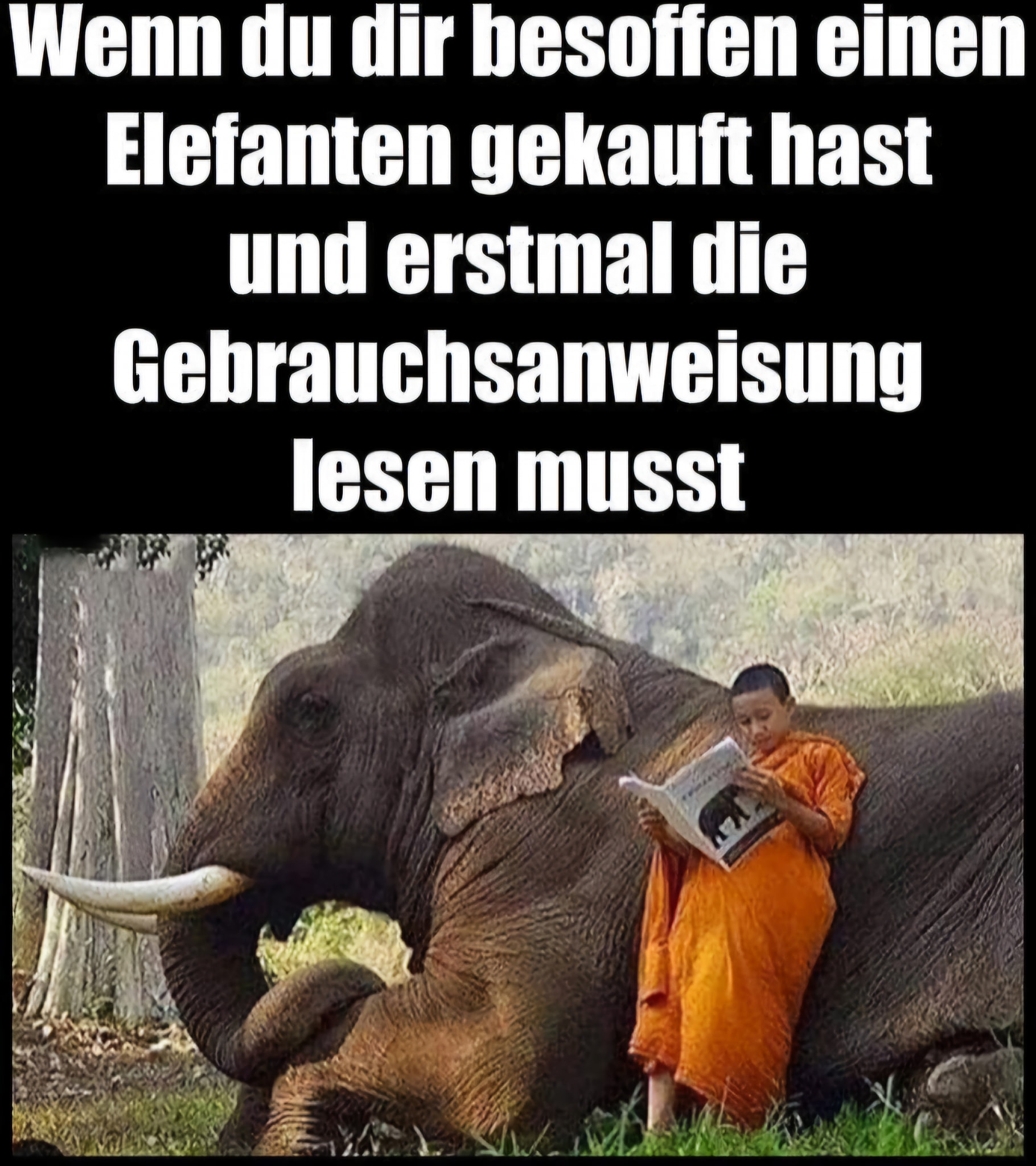 die Gebrauchsanweisung - sposób użycia, instrukcja obsługi