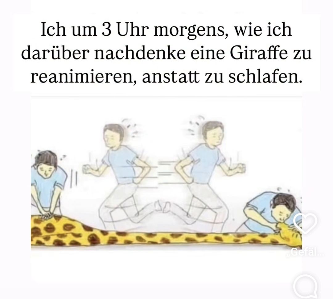 die Giraffe - żyrafa