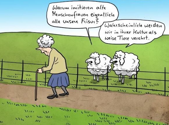 die Kultur - kultura