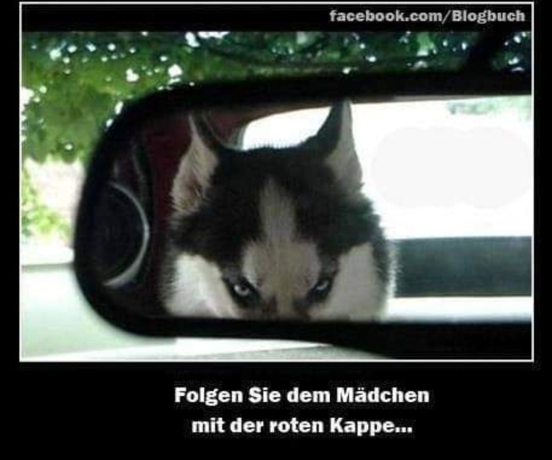 die Kappe - czapka, beret, pokrywa, nakrętka