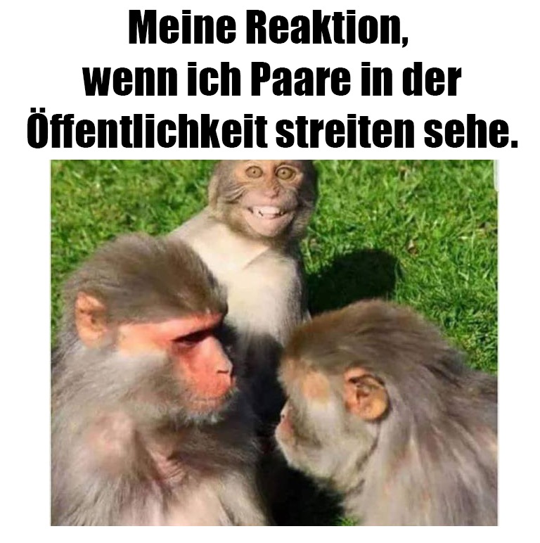 die Öffentlichkeit - publiczność, opinia publiczna