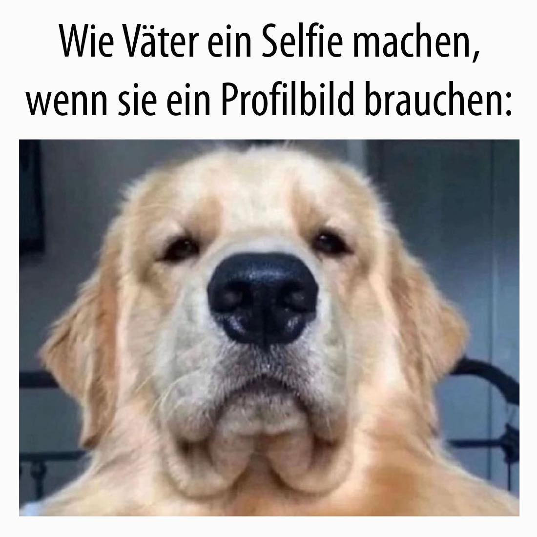 das Profilbild - zdjęcie z profilu