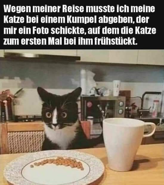 reise
