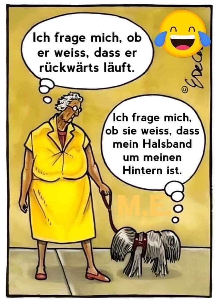 rückwärts - wstecz, w tył, do tyłu