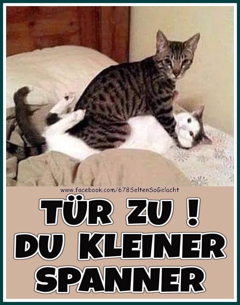 der Spanner - napinacz, prawidło, podglądacz