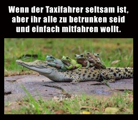 der Taxifahrer - taksówkarz