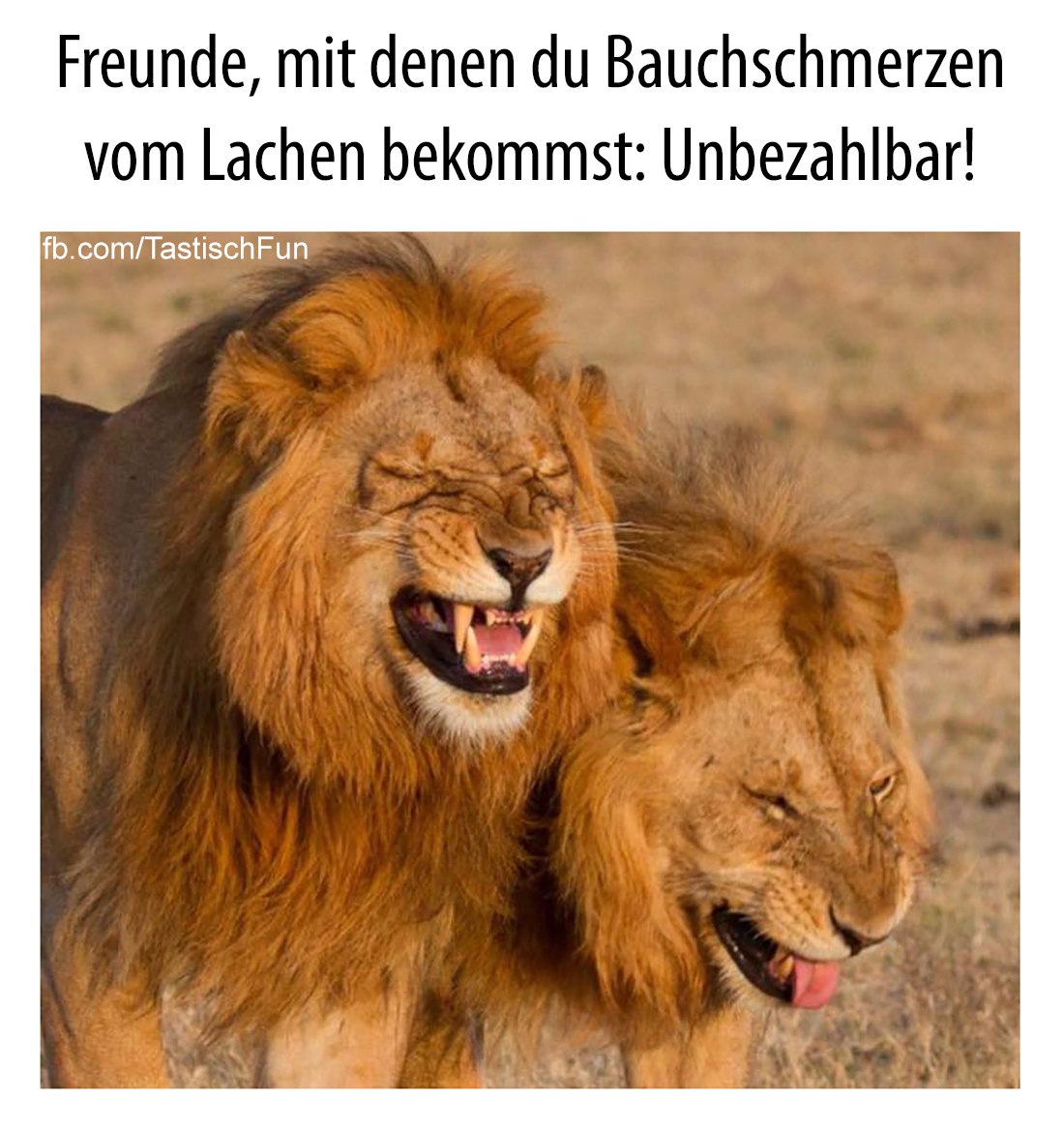 Bauchschmerzen - bóle brzucha, ból brzucha