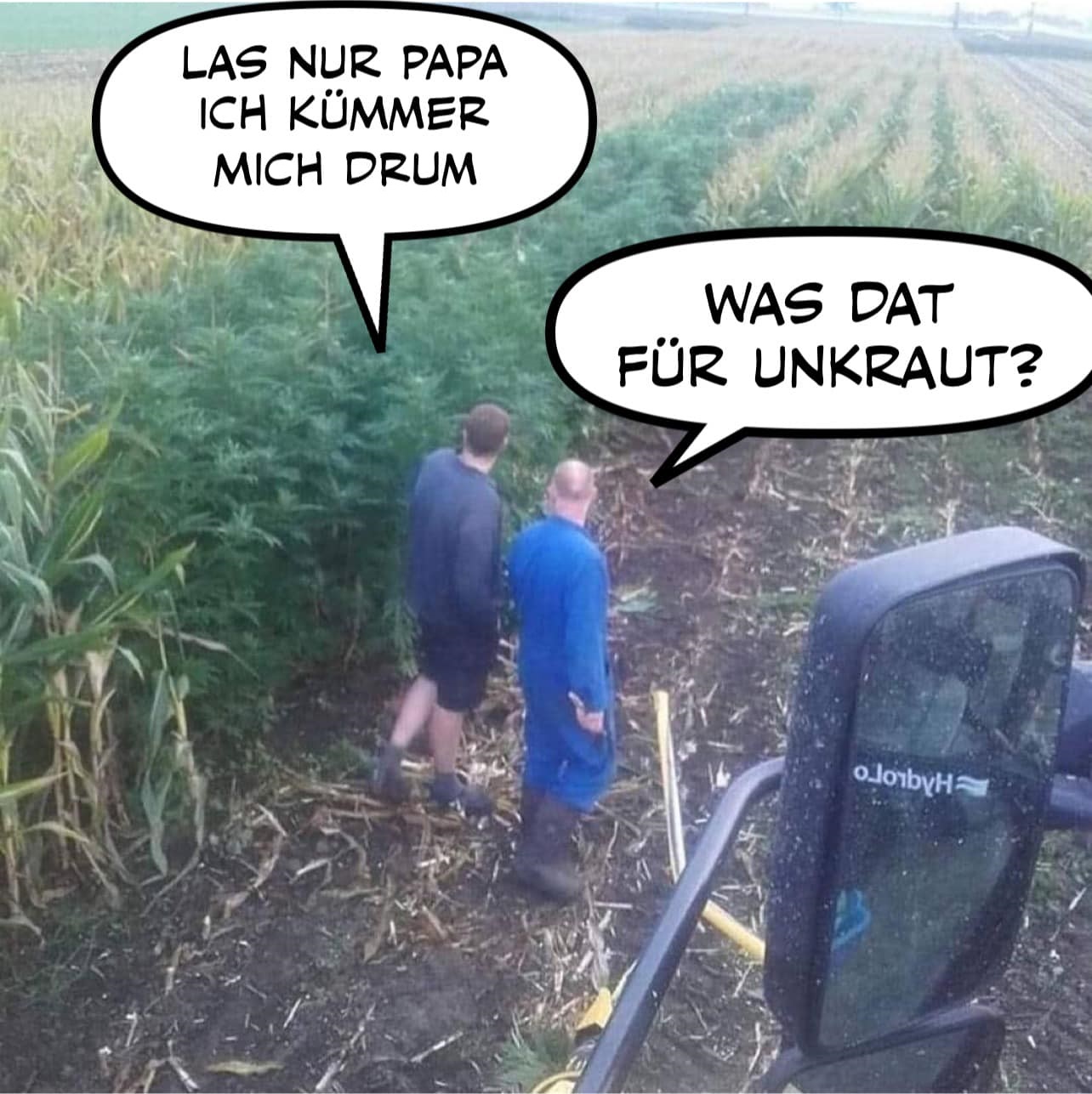 das Unkraut - chwasty, zielska