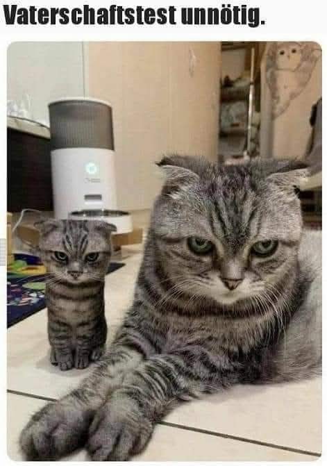 unnotig