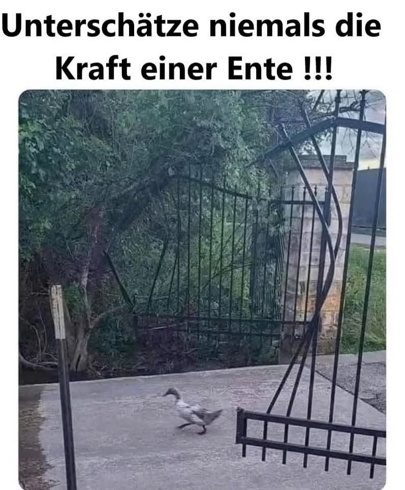 unterschätzen - nie doceniać, niedoszacować, zaniżać