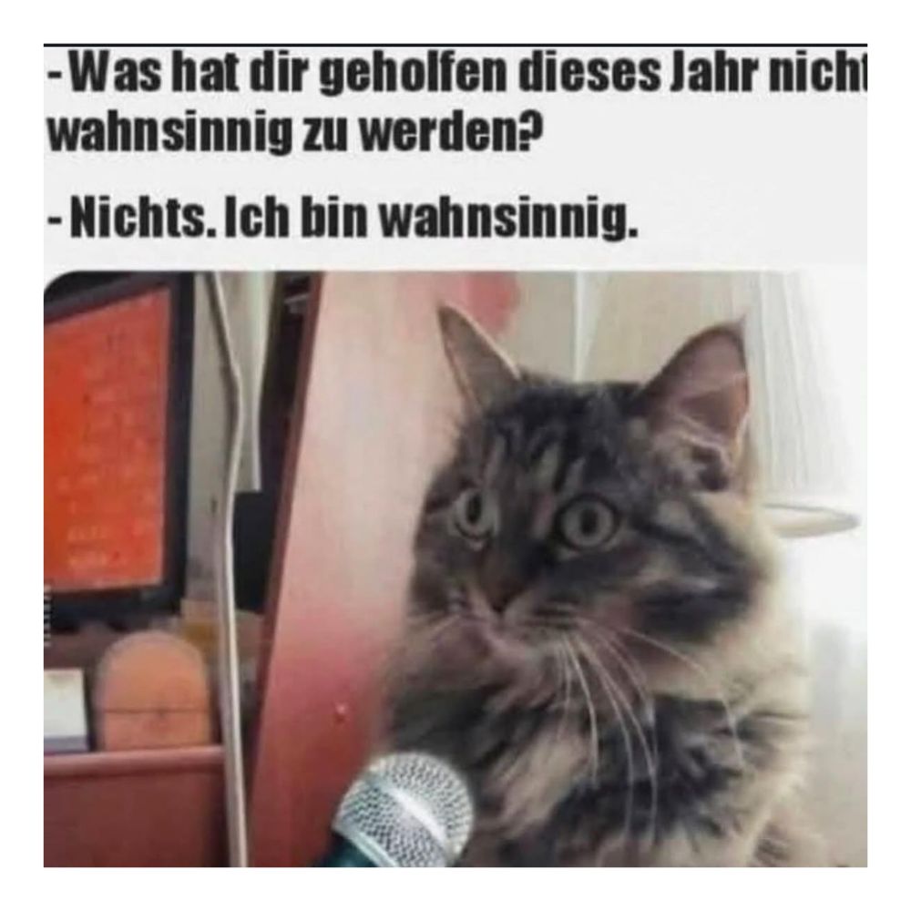 wahnsinnig - obłąkany, szalony