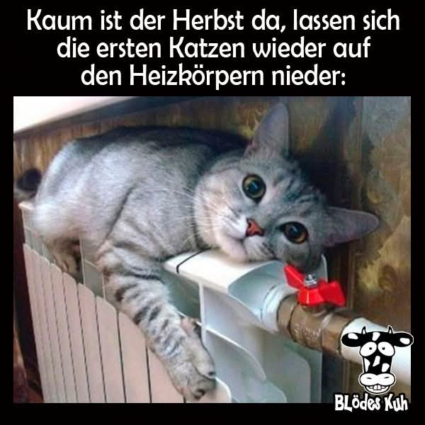 Heizkorper