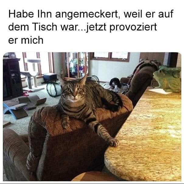 anmerken