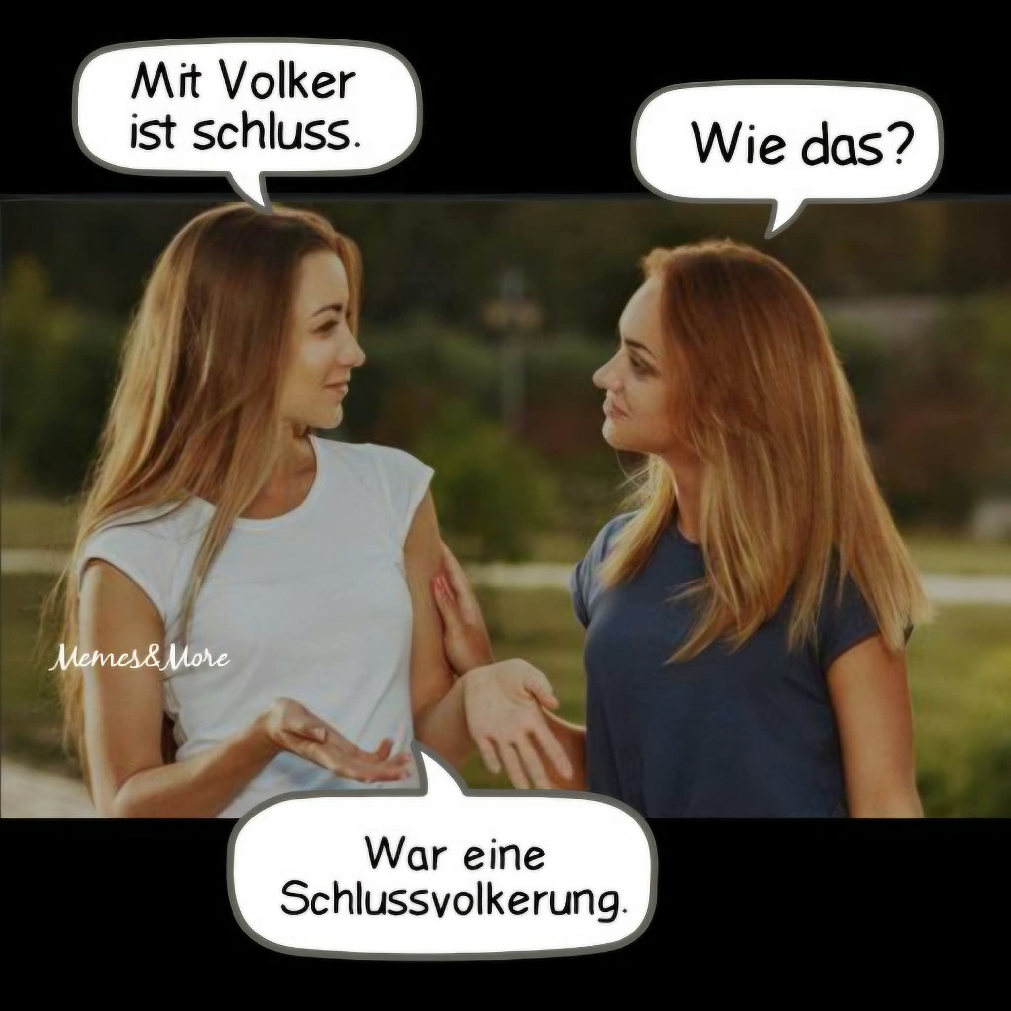 die Schlussfolgerung - wniosek, rozumowanie