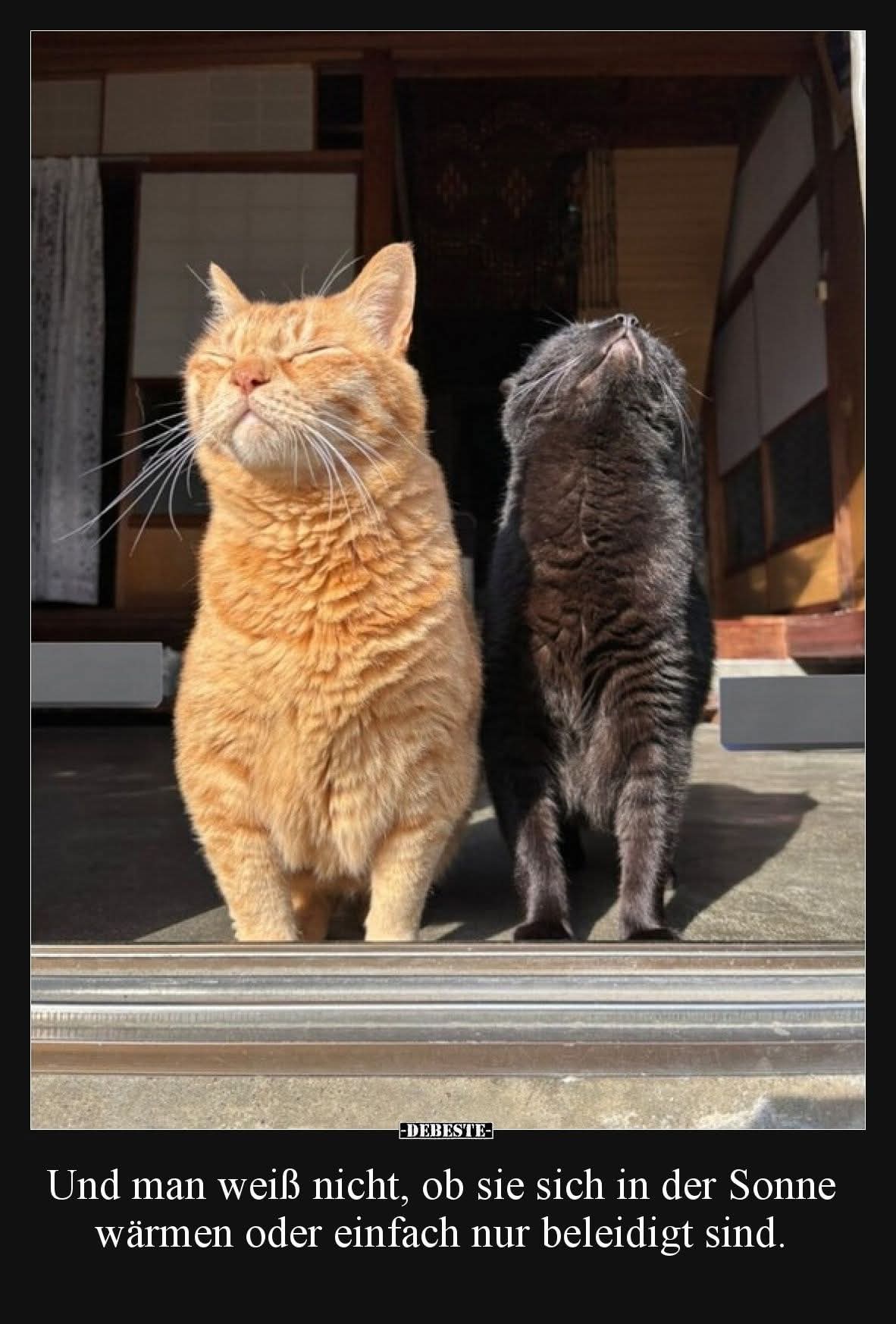 Sonne